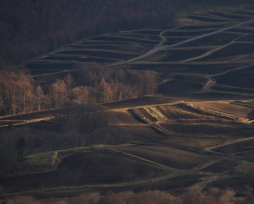 高台から