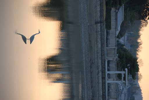 御陵夕景