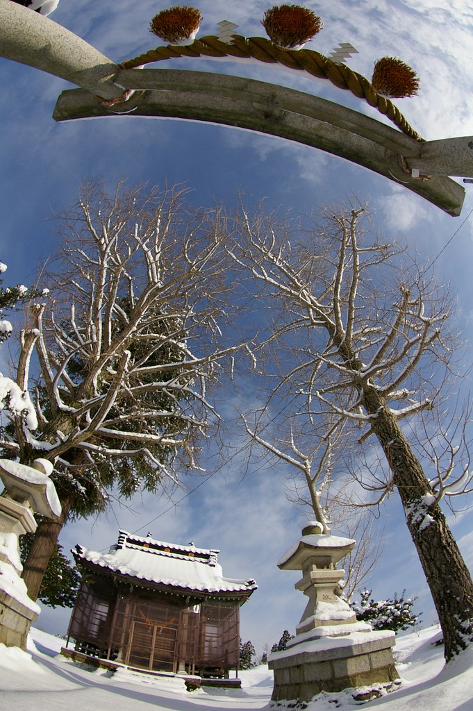 千鳥神社輝く！