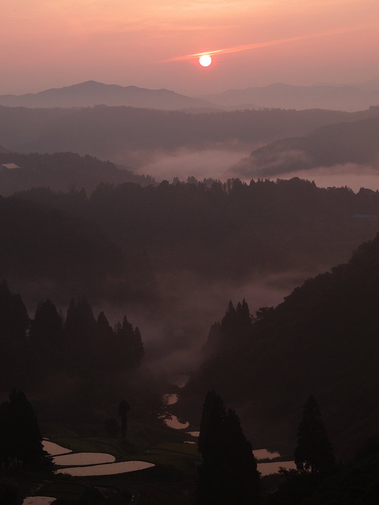 棚田の朝