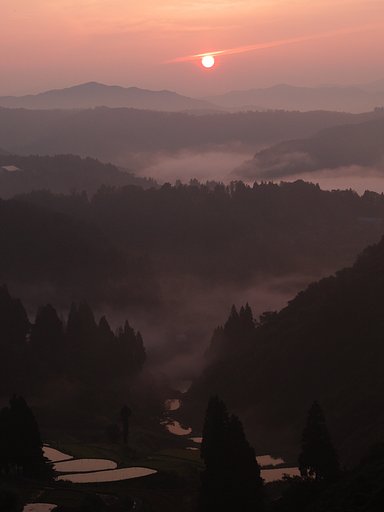 棚田の朝