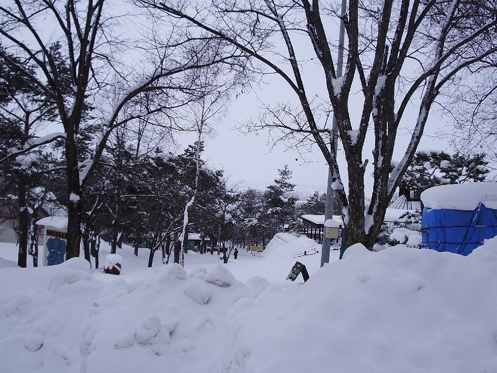 雪景色
