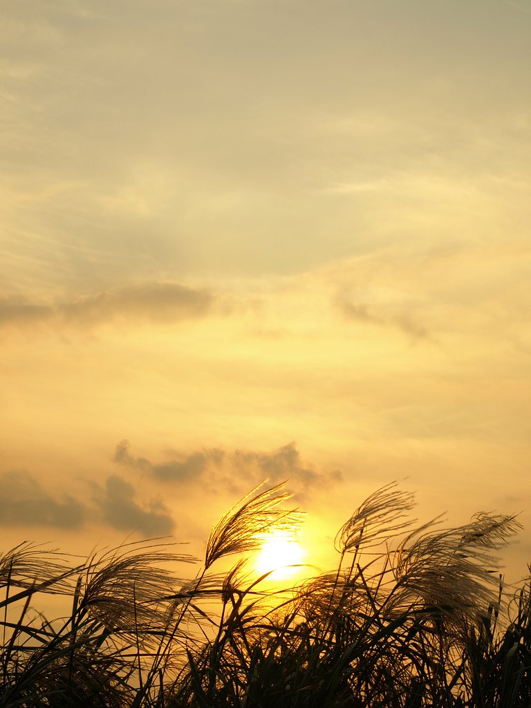 夕暮れ