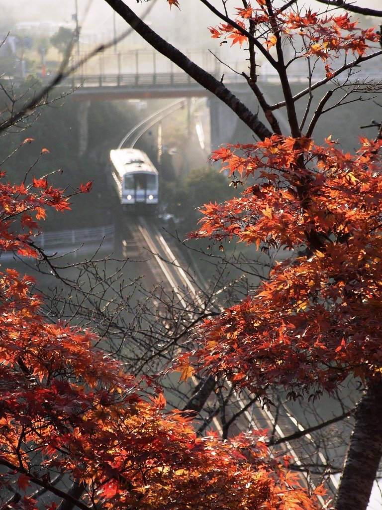 尾関山公園