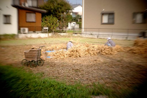 「記」　日々好日