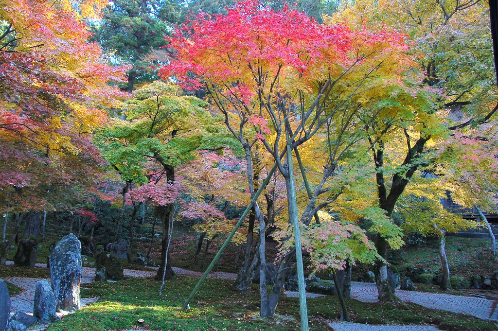 光明禅寺