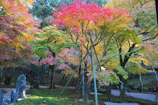 光明禅寺
