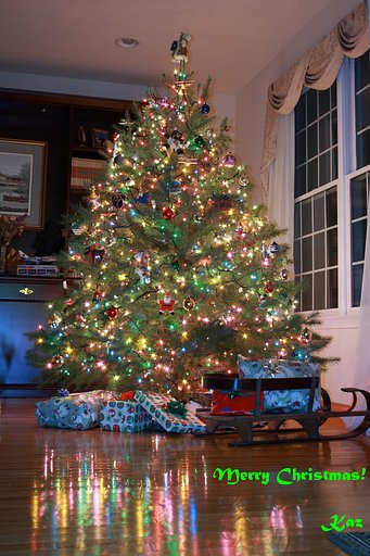 メリークリスマス！