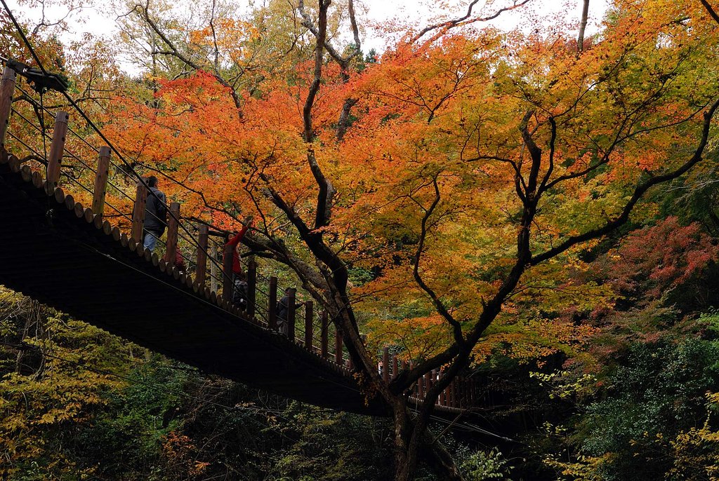 吊り橋