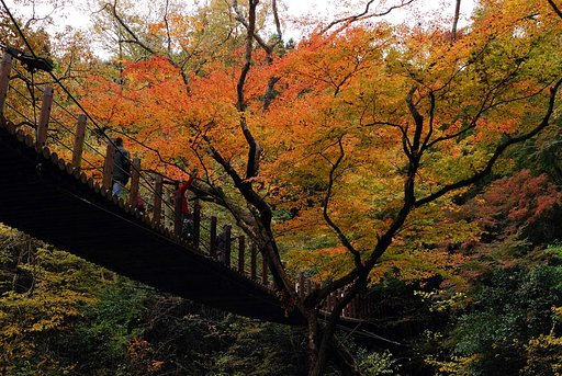吊り橋