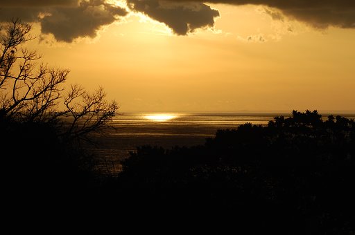 夕日