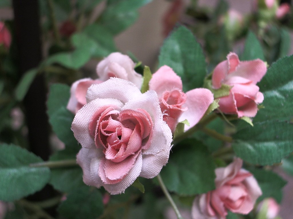 生花だと思ったらぁ？