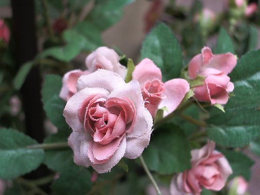 生花だと思ったらぁ？