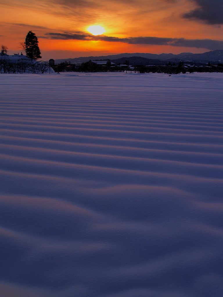 夕暮れ畝々