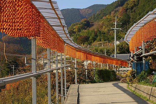 串柿・・・かつらぎ町