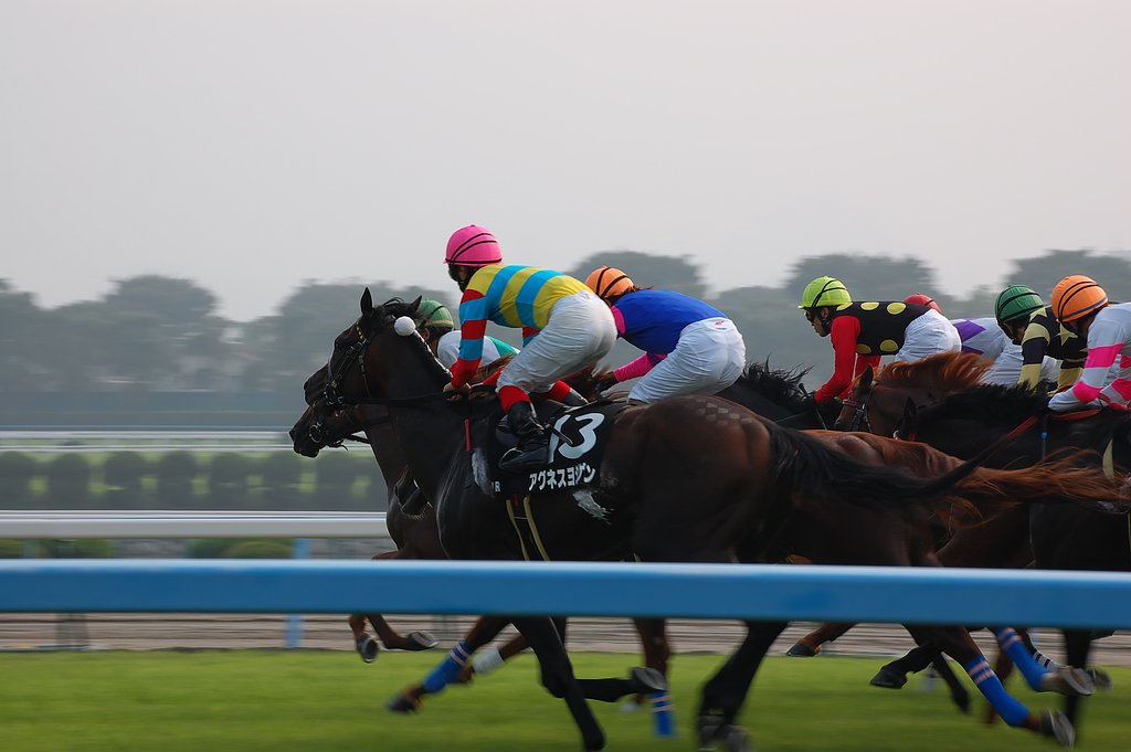 競走馬その２