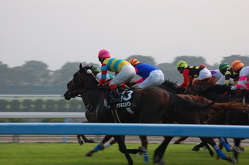 競走馬その２