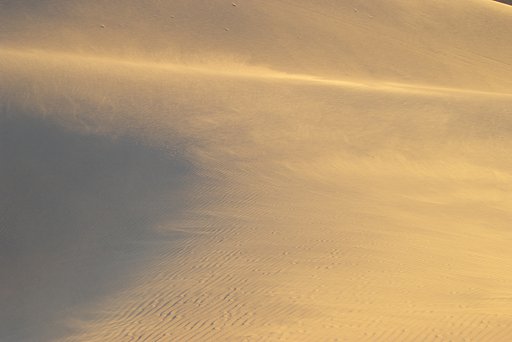 Wind of Dunes #4