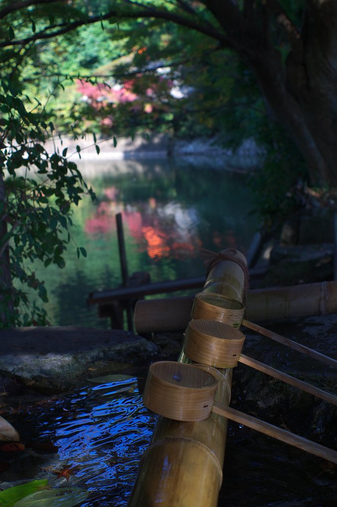 高鴨神社の秋
