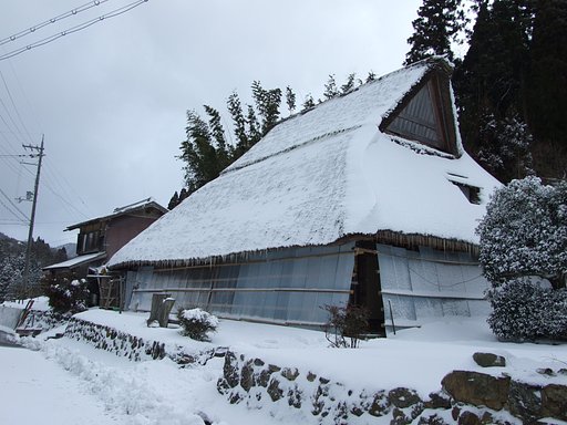 昨日から吹雪の様に雪が降っております