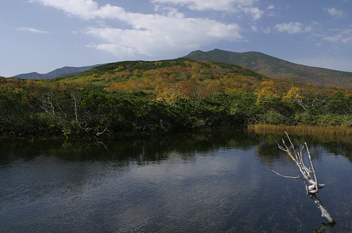 四の沼