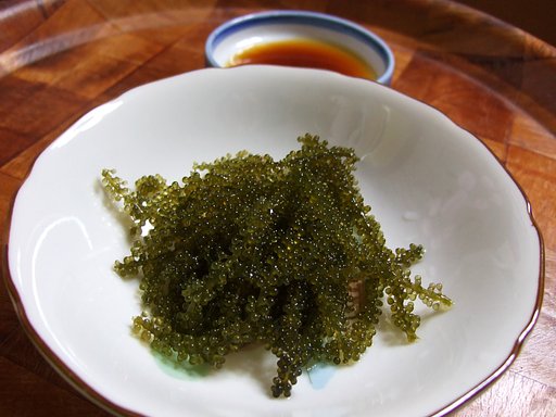 沖縄から贈りもの・・・