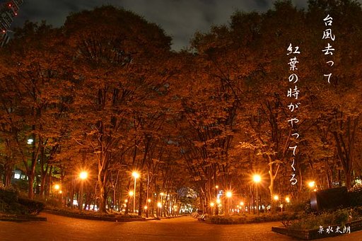セントラルパークにて