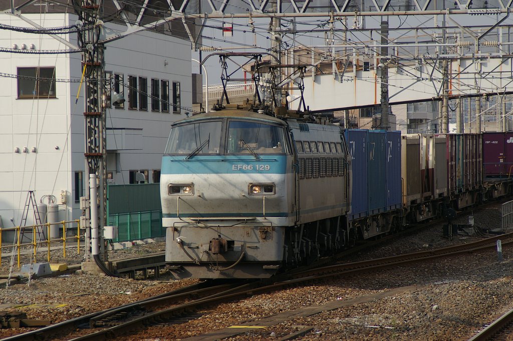 タムロン71Ｄ