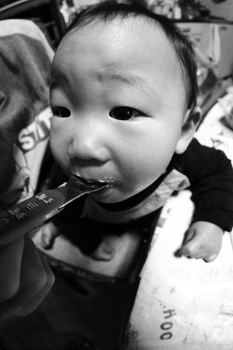 【締】　２００７年４月の写真