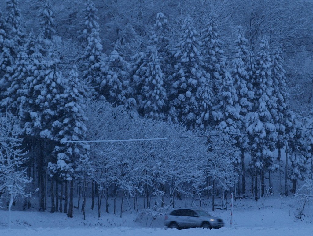 大晦日の雪の帰り道