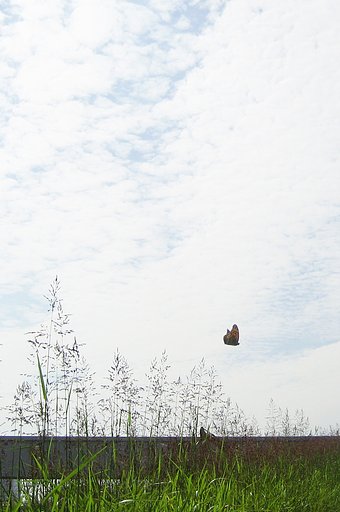 空寛く