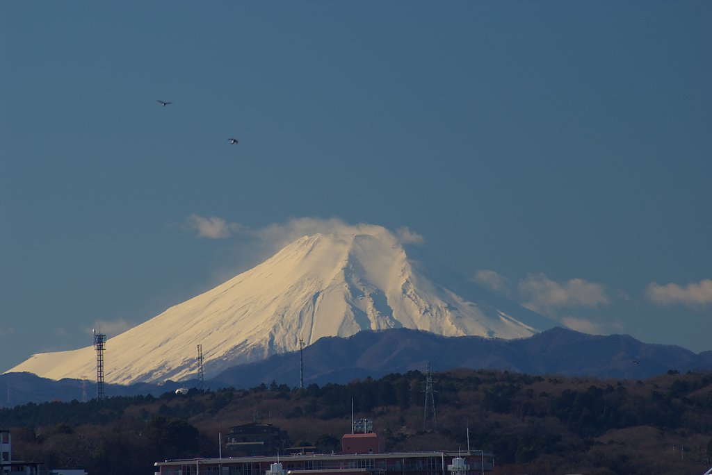 初富士