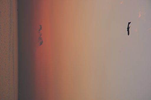 【締】海ほたるサンセット