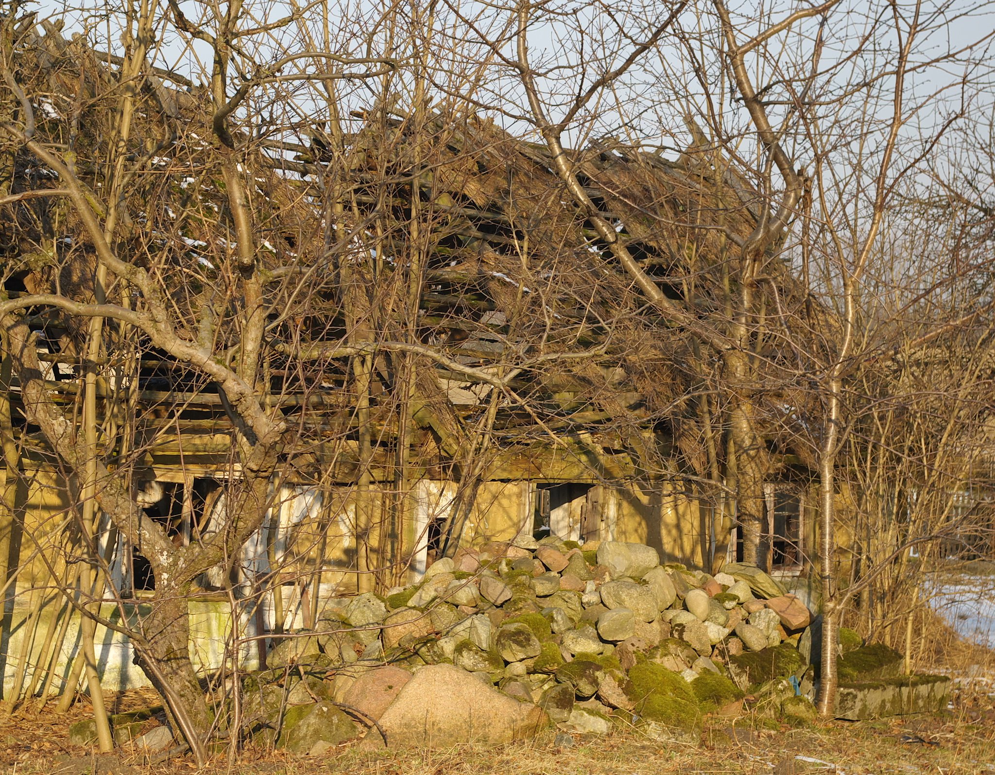 old house