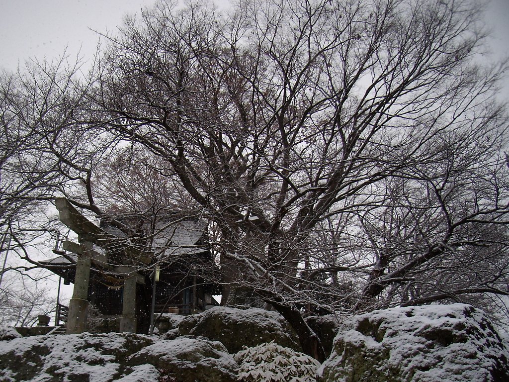 岩の上のお社
