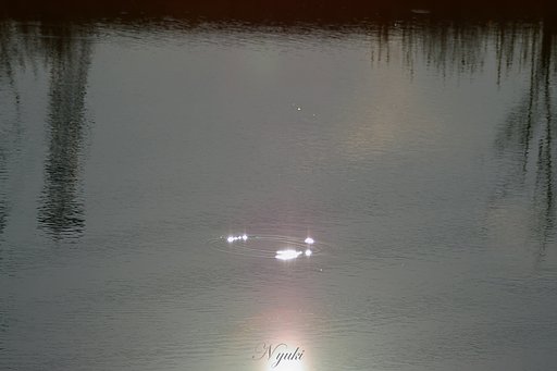 【締】光に感謝を込めて