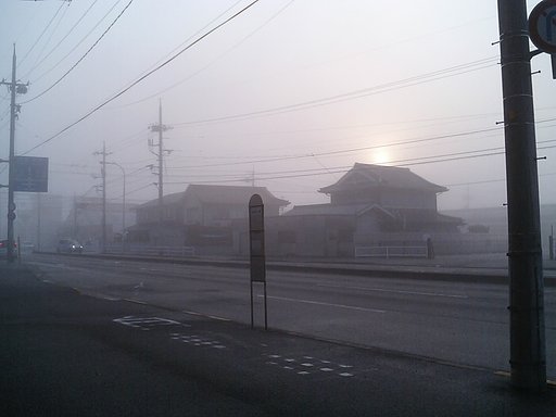 朝霧