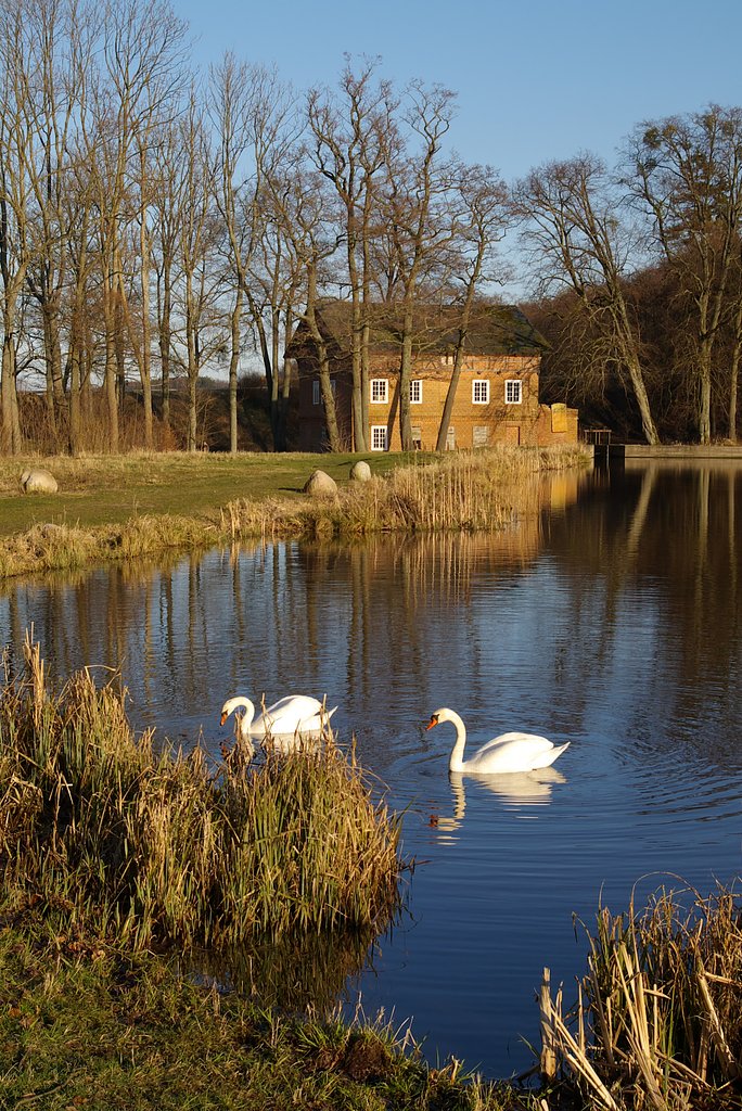 Water flour-mill.