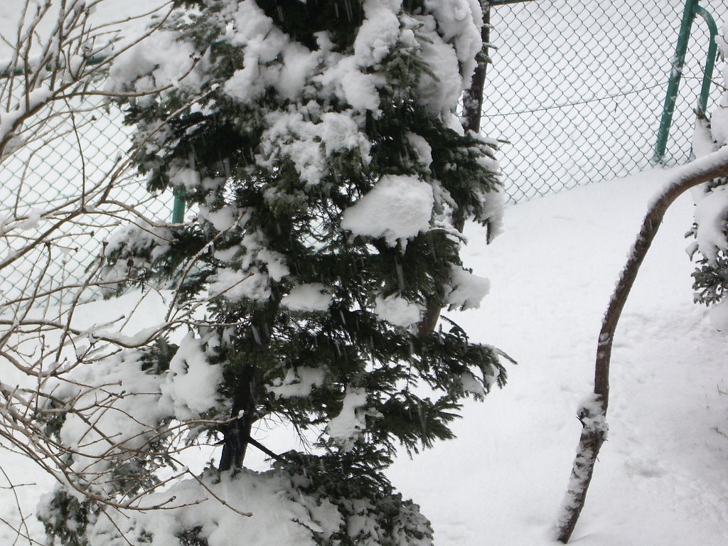 昨夜から〜；