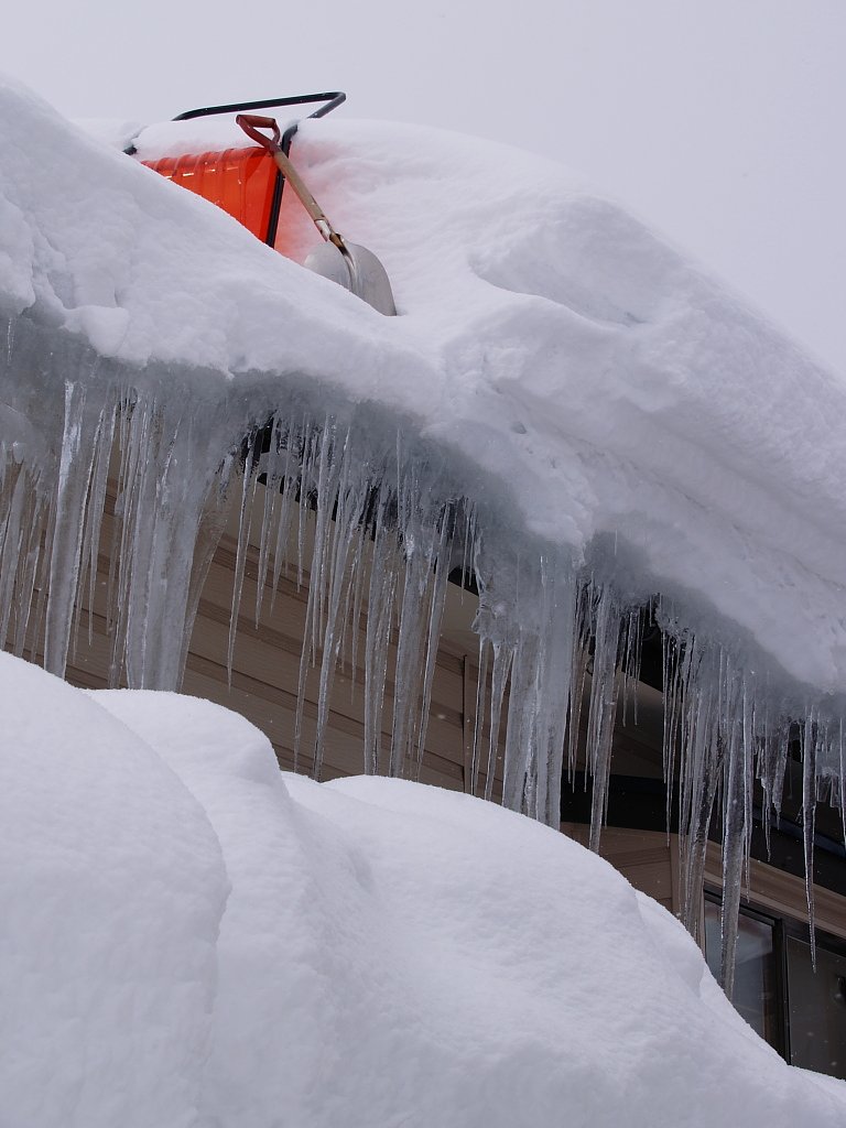 雪下ろし曜日