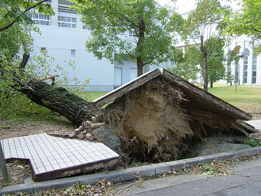台風23号