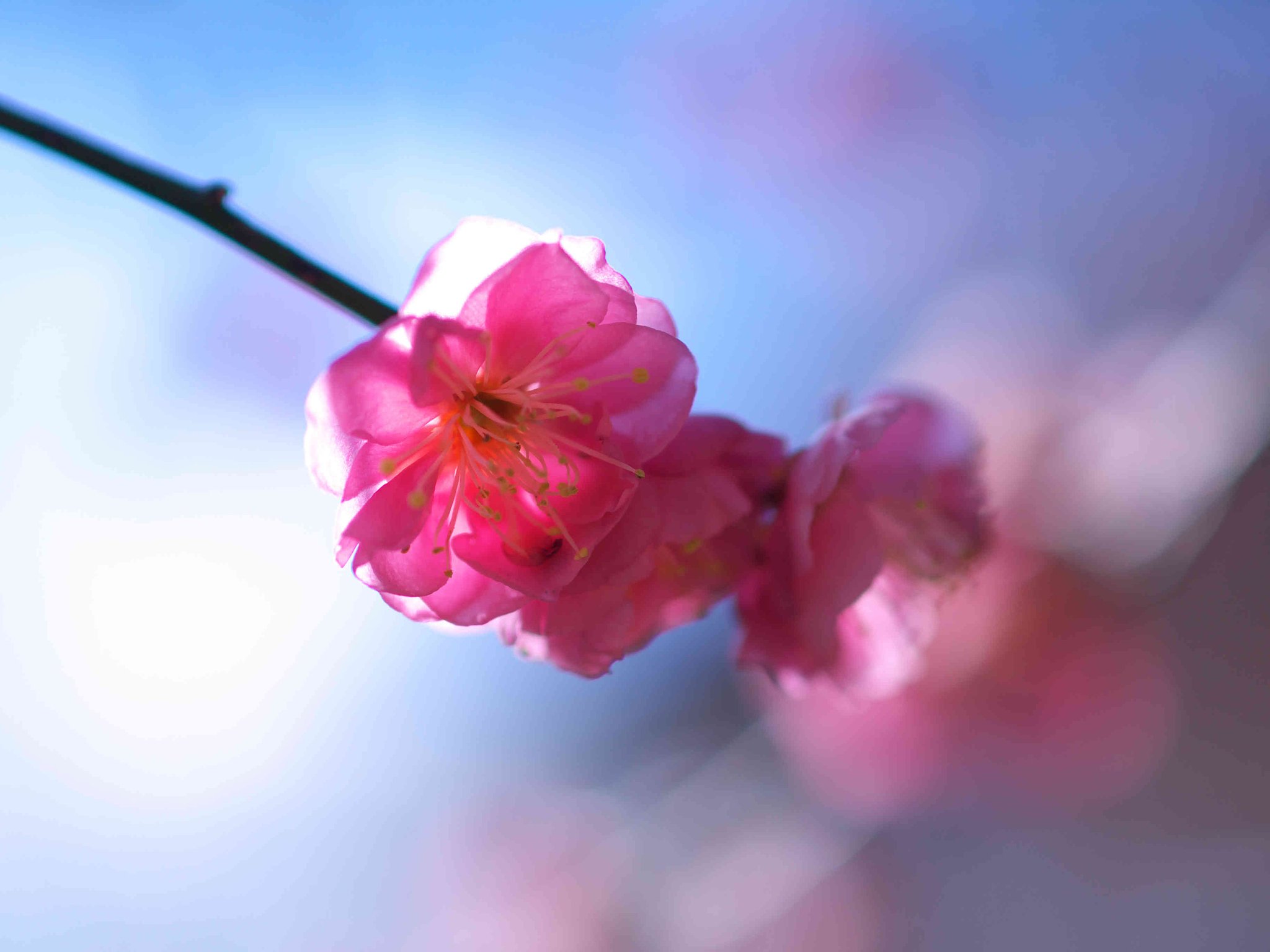 光の美・・・
