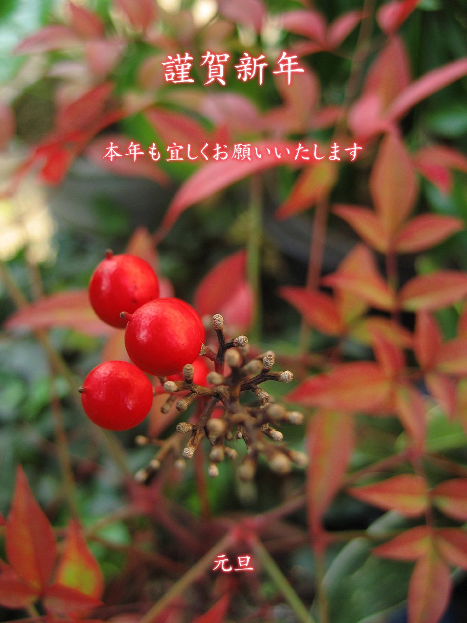謹賀新年♪