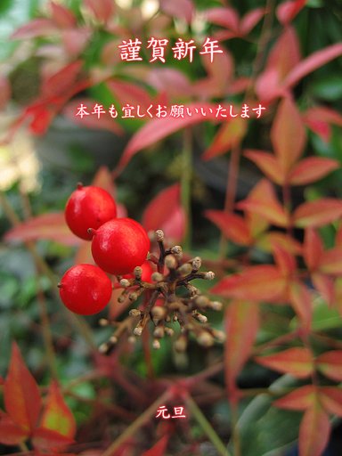 謹賀新年♪