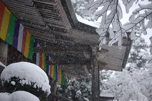 降りしきる雪を・・・