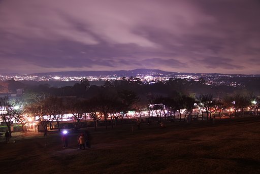 若草山（中腹）からの夜景