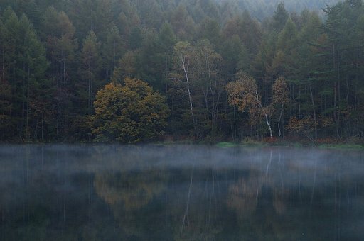 秋の気配