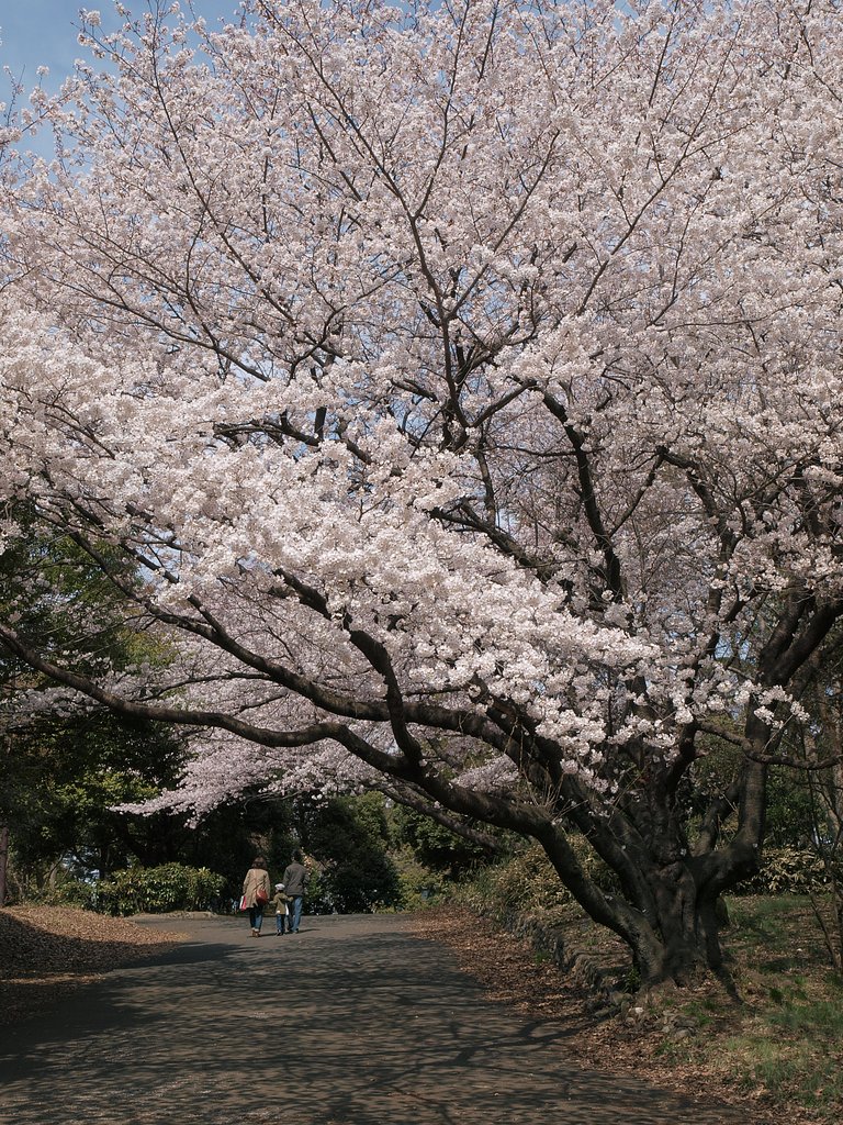 春らんまん