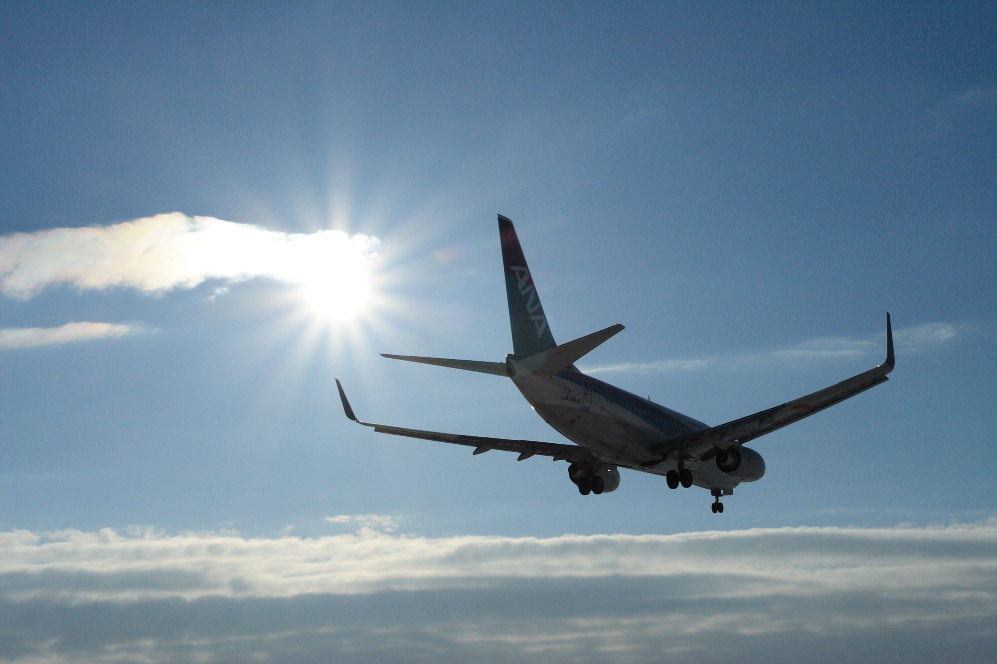 ANA-B737-700