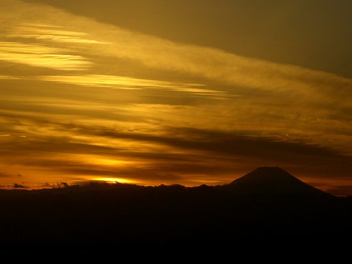 夕日にシルエット